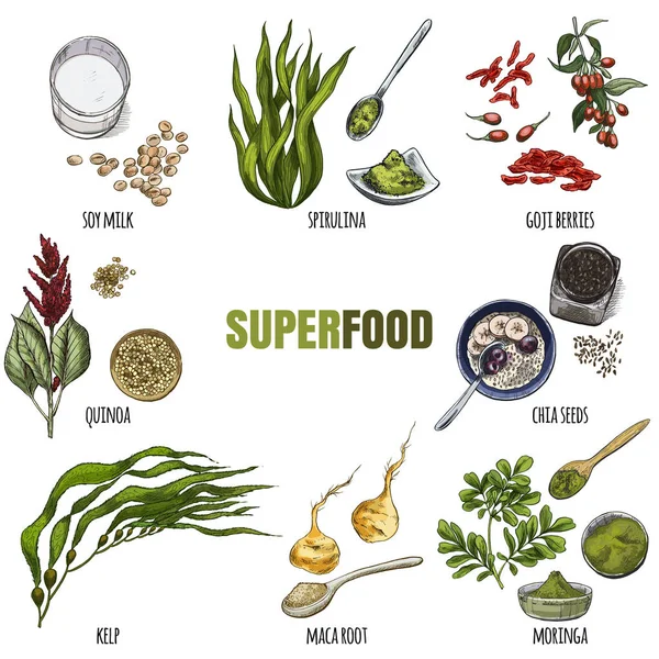 Superfood ayarlayın. Tam renkli gerçekçi kroki