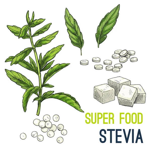 Tam renkli süper gıda el çizilmiş kroki 