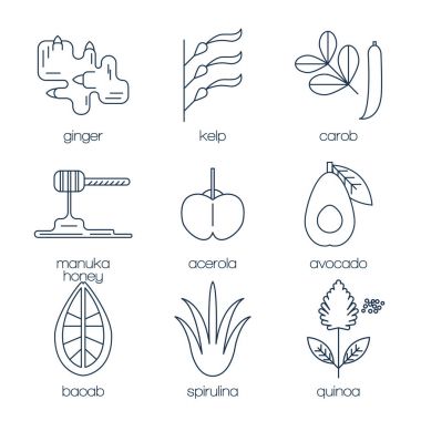 Superfood satır Icons set.