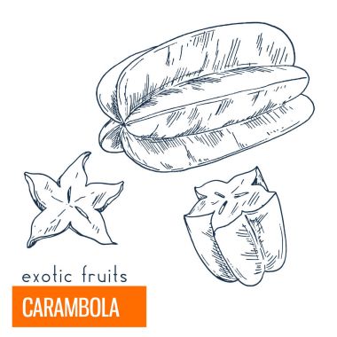 Carambola. Çizilmiş vektör çizim el