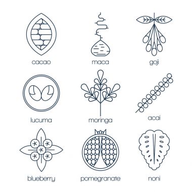 Superfood satır Icons set.