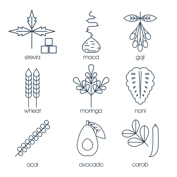 Superfood satır Icons set.