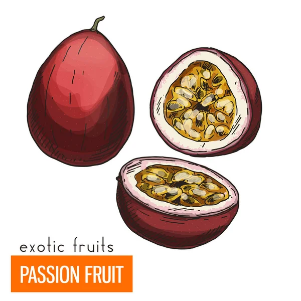 Maracuja. Renk vektör çizim.