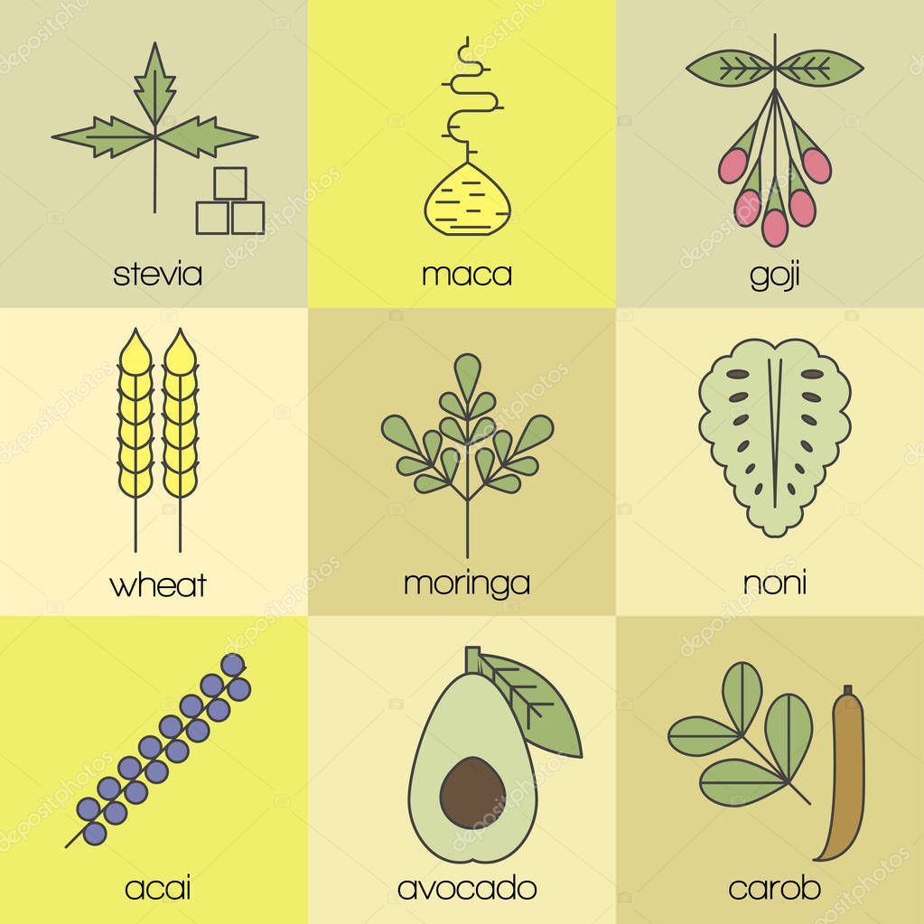 Superfood color line icons set. Color background. Stevia, maca, goji, wheat, moringa, noni, acai, avocado, carob.
