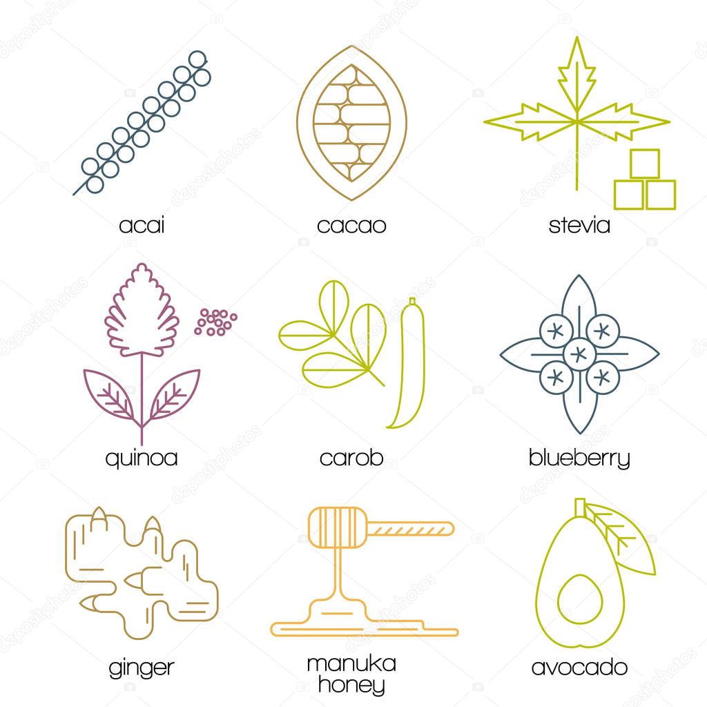 Superfood color line icons set.