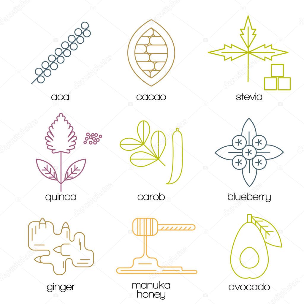 Superfood color line icons set. Acai berries, cacao, stevia, quinoa, carob, blueberry, ginger, manuka honey, avocado. Vector illustration.