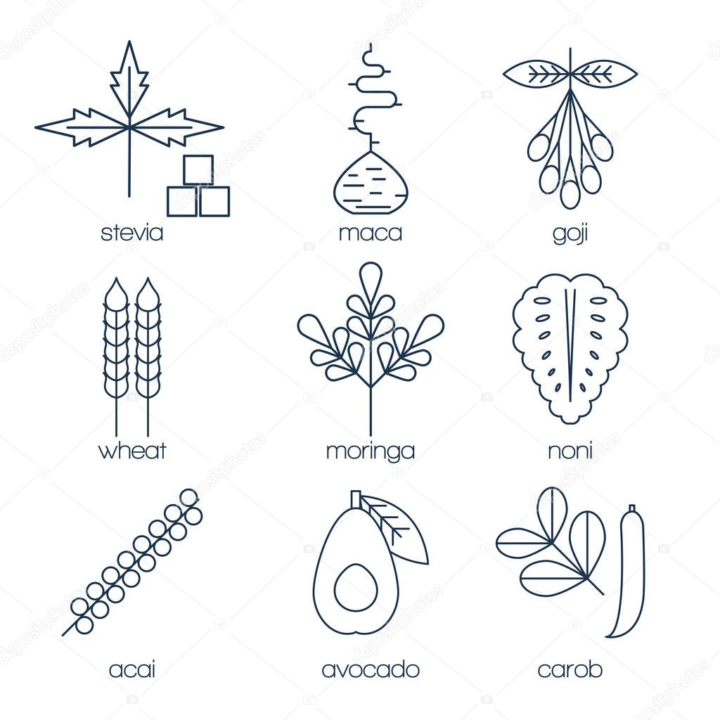 Superfood line icons set. Stevia, maca root, goji, wheat, moringa, noni, acai, avocado and carob. Vector illustration.