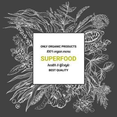 Superfood kare afiş, sketch vektör çizim 
