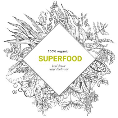 Superfood rhombus afiş, gerçekçi sketch vektör iilutstration