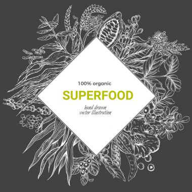 Superfood rhombus afiş, gerçekçi sketch vektör iilutstration 