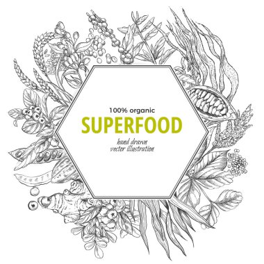 Superfood altıgen afiş, sketch vektör çizim