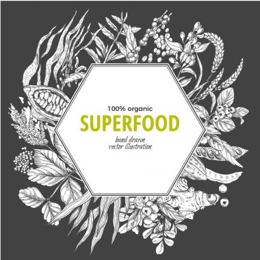 Superfood altıgen afiş, sketch vektör çizim