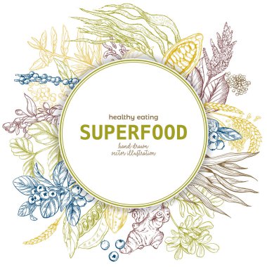 Superfood afiş, renk sketch vektör yuvarlak 