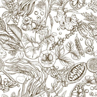 Superfood. Dikişsiz botanik desen