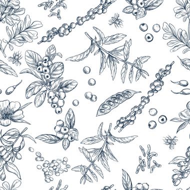 Superfood. Dikişsiz botanik desen