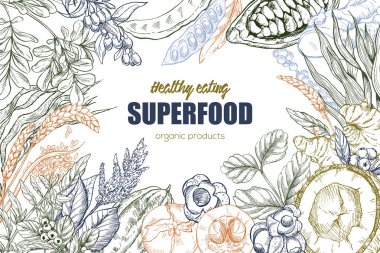 Superfood, gerçekçi kroki gövde tasarımı
