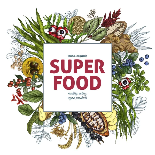 超级食物方形横幅、 全彩色写实素描 — 图库矢量图片