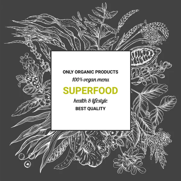 Superfood kare afiş, sketch vektör çizim 