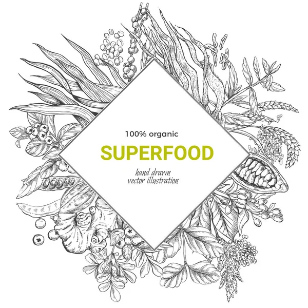 Superfood rhombus afiş, gerçekçi sketch vektör iilutstration