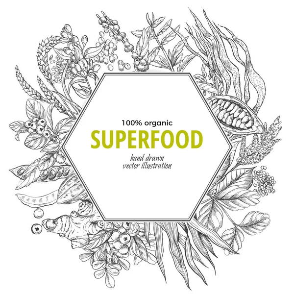 Banner hexágono Superfood, ilustración de vectores de bocetos — Vector de stock