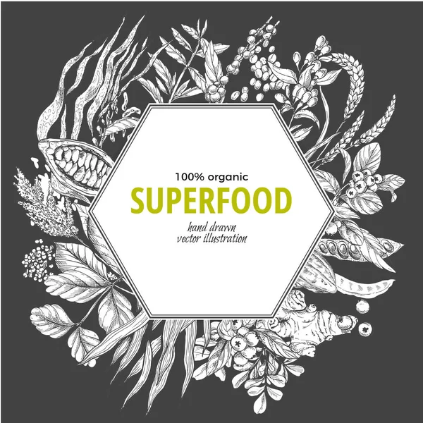 Superfood altıgen afiş, sketch vektör çizim — Stok Vektör
