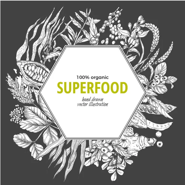 Superfood altıgen afiş, sketch vektör çizim
