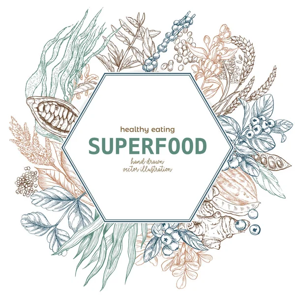 Superfood altıgen afiş, Renk eskiz — Stok Vektör