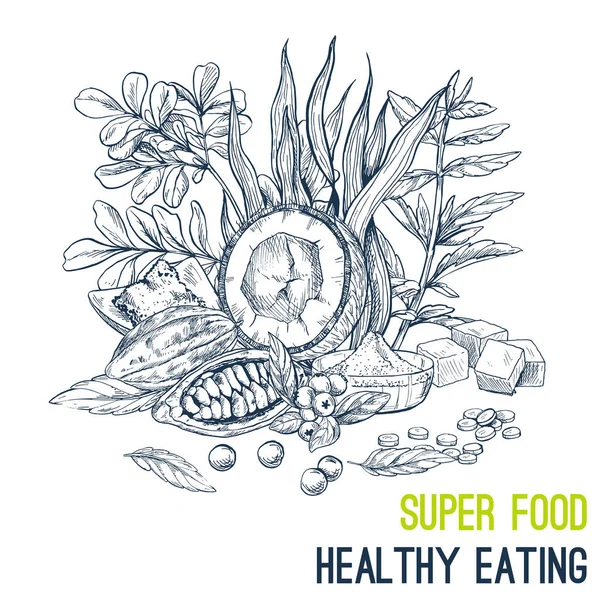 Superfood poster, elle çizilmiş vektör kroki