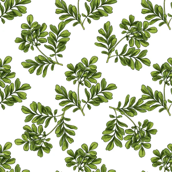 Moringa. Dikişsiz botanik desen