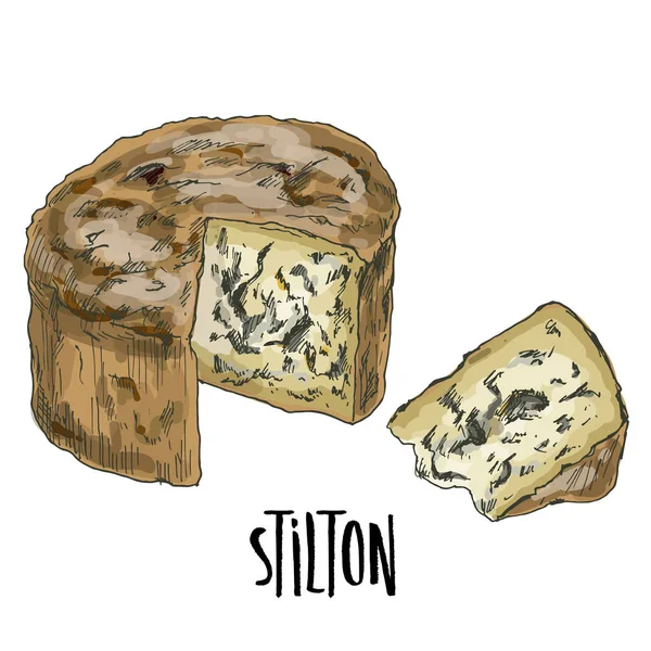 Illustrazione di formaggio a colori, disegnato a mano vettore — Vettoriale Stock