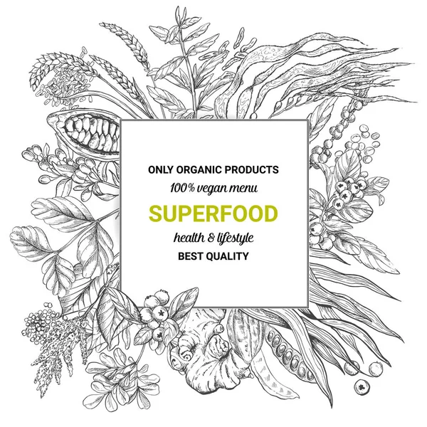 Banner cuadrado Superfood, ilustración de vectores de bocetos — Vector de stock