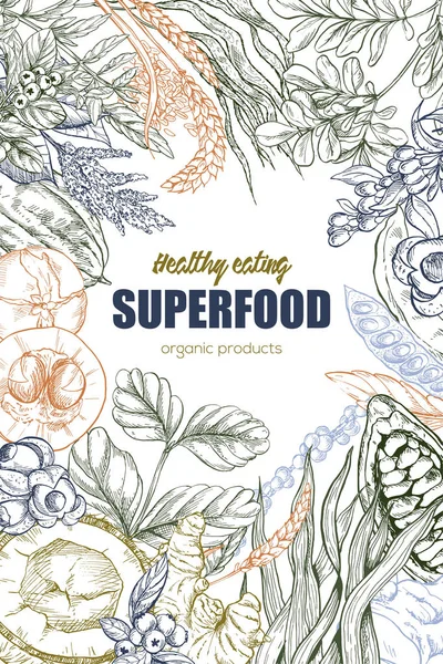 Superfood, design de quadro de esboço realista — Vetor de Stock