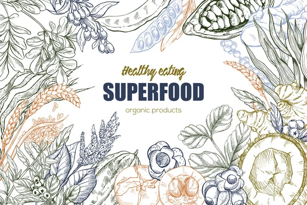 Superfood, gerçekçi kroki gövde tasarımı — Stok Vektör