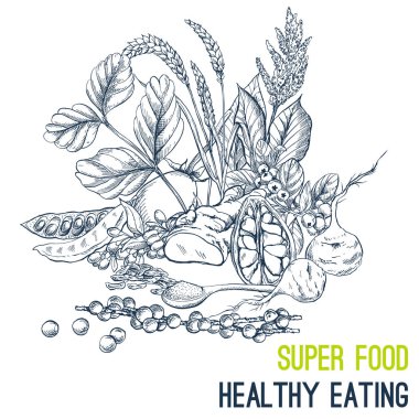 Superfood poster, elle çizilmiş vektör kroki