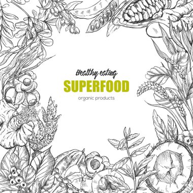 Superfood, gerçekçi kroki gövde tasarımı