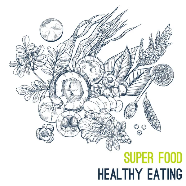 Superfood poster, gambar tangan vektor sketsa - Stok Vektor