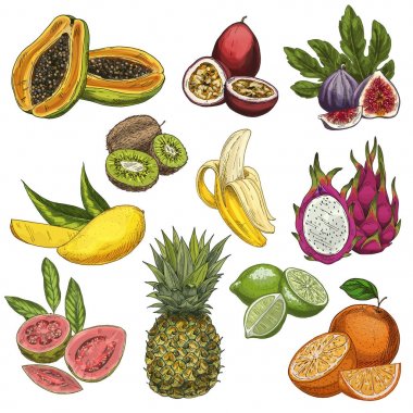 Tropikal meyve. Guava, çarkıfelek meyvesi, incir, kivi, mango, muz, pitahaya, guava, ananas, limon, portakal. 