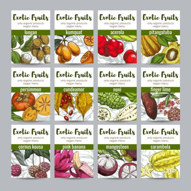 Set of 12 exotic fruits posters clipart