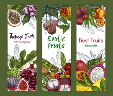 Three vertical banners with exotic fruits clipart