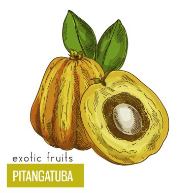 Pitangatuba, meyve yaprakları ile