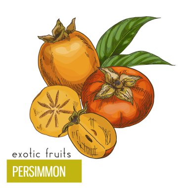 Trabzon hurması, dilim, meyve ve yaprakları.