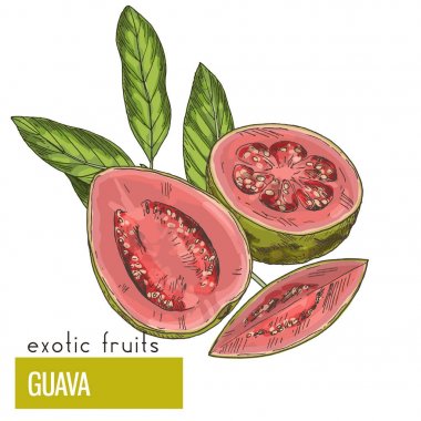 Guava, meyve yaprakları ile