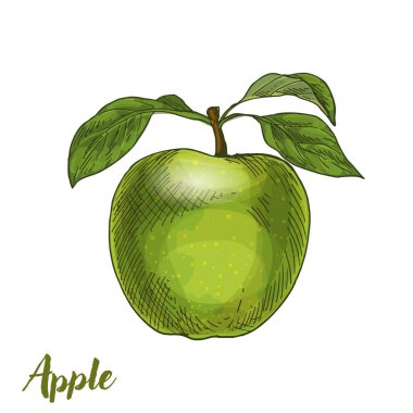 elma yeşil yaprakları ile