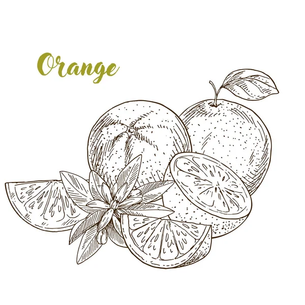 Апельсин, половинки и слизи, цветы — стоковый вектор