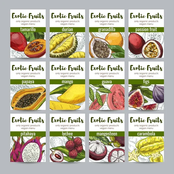 Conjunto de 12 carteles de frutas exóticas — Vector de stock