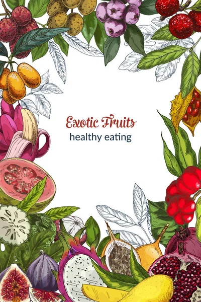 Frutas exóticas a todo color, marco decorativo — Vector de stock