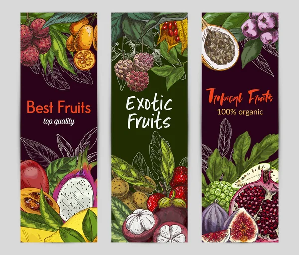 Tres banderas verticales con frutas exóticas — Vector de stock