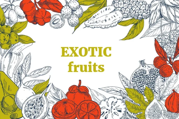 Frutas exóticas, quadro de paisagem —  Vetores de Stock