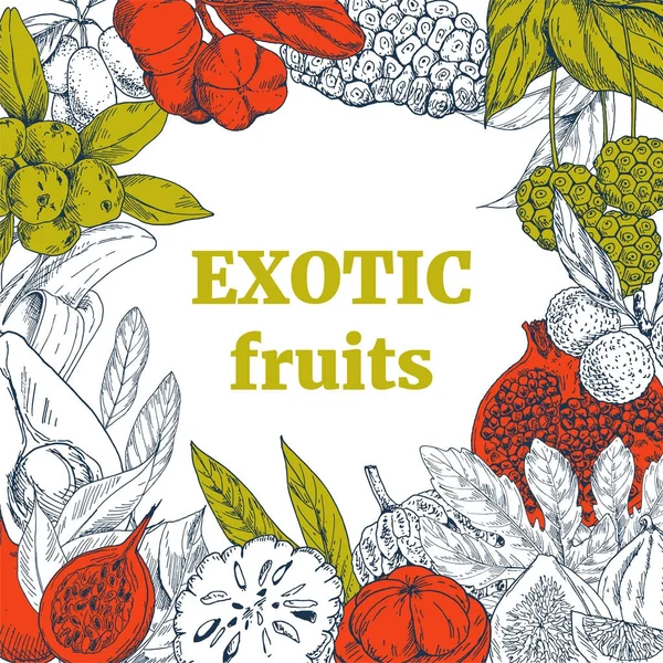 Frutas exóticas, quadro quadrado —  Vetores de Stock