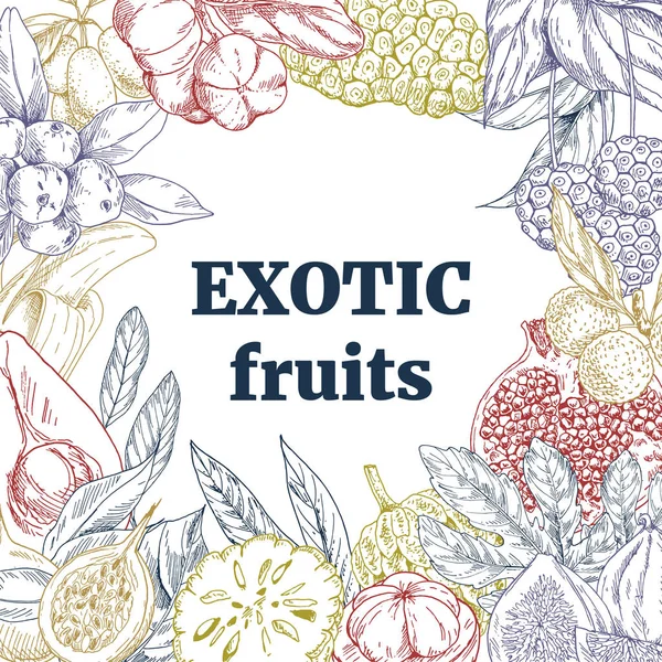 Egzotikus gyümölcsök, négyzet alakú keret — Stock Vector